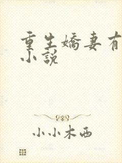 重生娇妻有点甜小说
