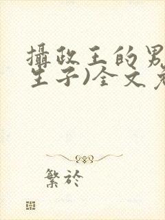 摄政王的男妃(生子)全文免费阅读