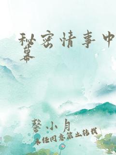 秘密情事中文字幕