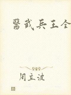 医武兵王全集