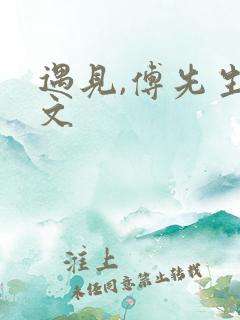 遇见,傅先生全文
