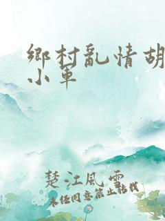 乡村乱情胡秀英小军