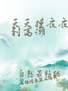 天天摸夜夜摸摸到高潮