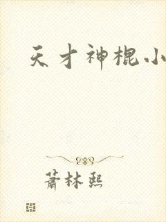 天才神棍小说