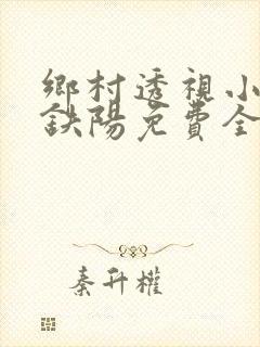 乡村透视小神医铁阳免费全文阅读