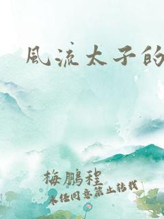 风流太子的后宫