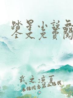 踏星小说无弹窗全文免费阅读