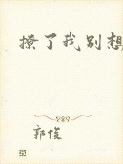 撩了我别想跑