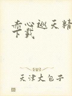 赤心巡天精校版下载