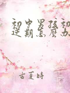 初中男孩初中叛逆期怎么办