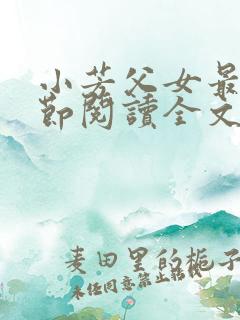 小芳父女最新章节阅读全文