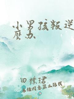 小男孩叛逆期怎么办