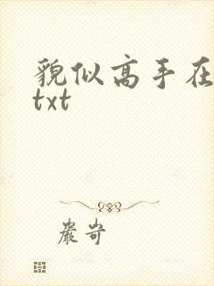 貌似高手在异界txt