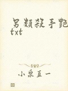 另类杀手艳福星txt