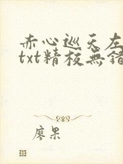 赤心巡天左光烈txt精校无错版