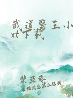 武道医王小说txt下载
