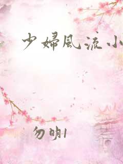 少妇风流小说网