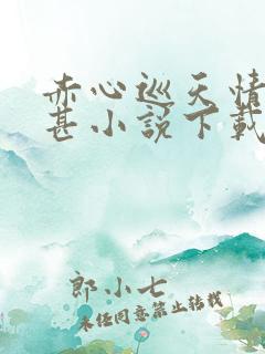 赤心巡天情何以甚小说下载txt