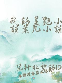 我的美艳小姨小说叶凡小说免费阅读