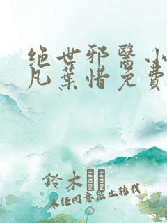 绝世邪医小说林凡叶惜免费阅读全文