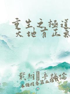 重生之极道仙帝 天地有正气