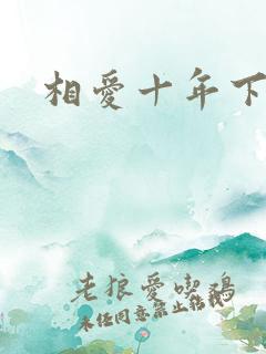 相爱十年下载