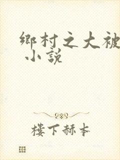 乡村之大被同眠 小说