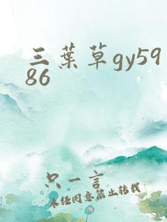 三叶草gy5986