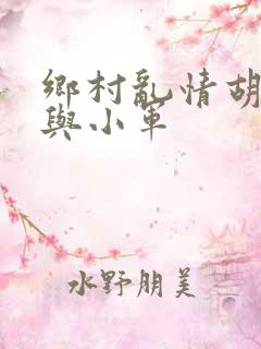 乡村乱情胡秀英与小军