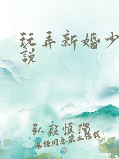 玩弄新婚少妇小说