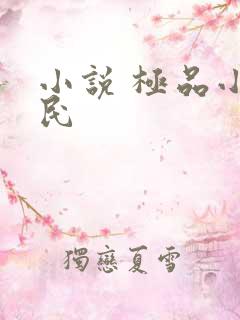 小说 极品小农民