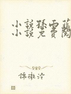 小说孙雨菲主角小说免费阅读全文