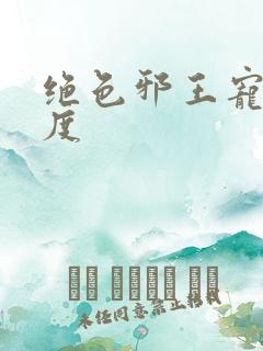 绝色邪王宠妻无度