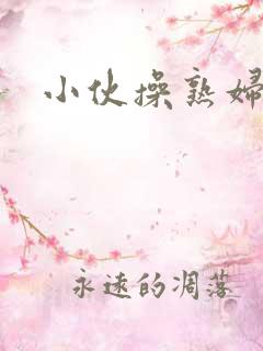 小伙操熟妇小说