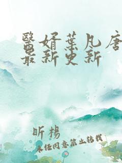 医婿叶凡唐若雪最新更新