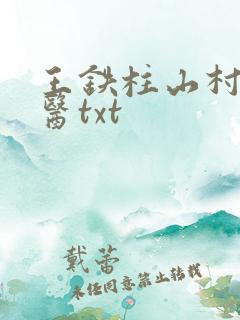 王铁柱山村小神医txt