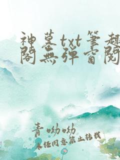 神墓txt笔趣阁无弹窗阅读