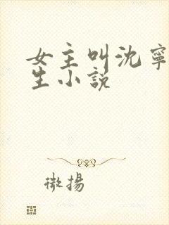 女主叫沈宁的重生小说
