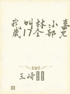 我叫林小喜今年岁17全部免费阅读