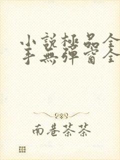 小说极品全能高手无弹窗全文免费阅读