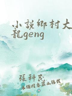 小说乡村大凶器龙geng