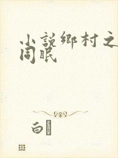 小说乡村之大被同眠