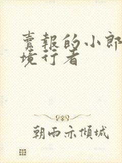 卖报的小郎君灵境行者