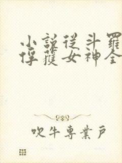 小说从斗罗开始俘获女神全文在线阅读