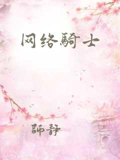 网络骑士