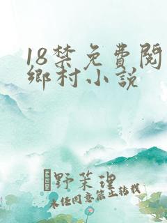 18禁免费阅读乡村小说