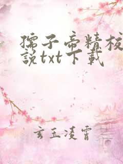 孺子帝精校版小说txt下载