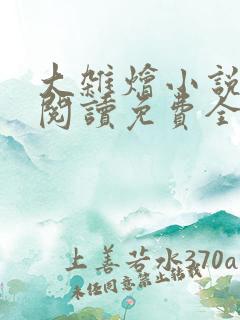 大杂烩小说完整阅读免费全文