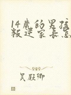 14岁的男孩子叛逆家长怎么办