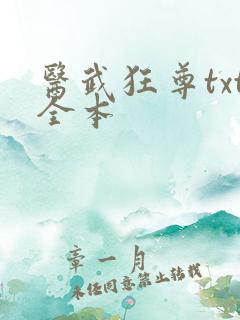 医武狂尊txt全本